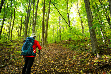 Active healthy man hiking in beautiful autumn forest