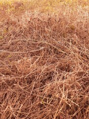 textura