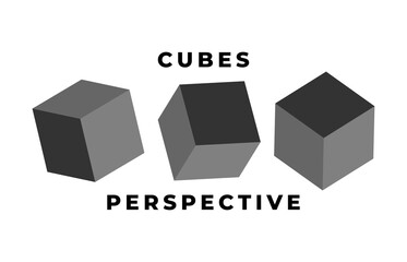 Cube icon set with perspective. 3d model of a cube. Vector illustration. Isolated on white background