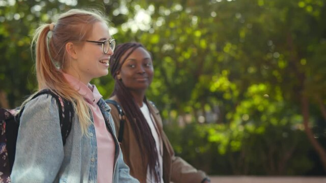 Pretty african and caucasian female students walking together in park