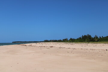 Fototapeta na wymiar Sunny day in a Desert Beach in Brazil