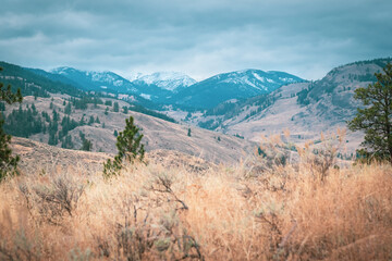 Snow-capped mountain view from endangered antelope brush grasslands