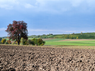plowed field in autumn