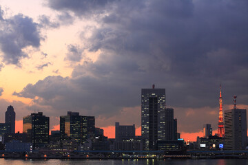 Fototapeta premium 東京タワー都心日没