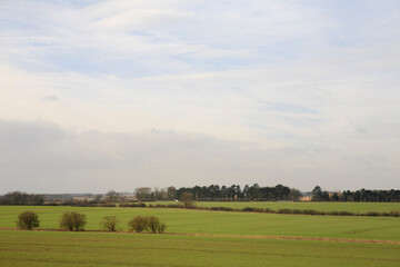 Fototapeta premium イギリス田園風景