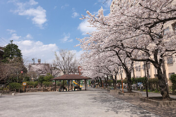 広尾公園（東京都渋谷区広尾）