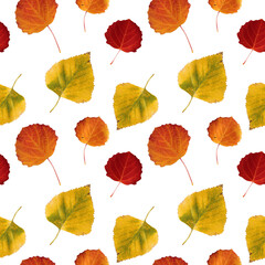 Fototapeta na wymiar Seamless pattern with red, orange and yellow autumn leaves herbarium isolated on white. Art creative nature background for florist, wallpaper, wrapping, card, notebook