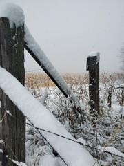snow on a barbed wire fence. vertical photo.