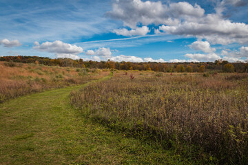 Meadow in Autumn on a delightful sunny day at Wallkill River National Wildlife Refuge, NJ