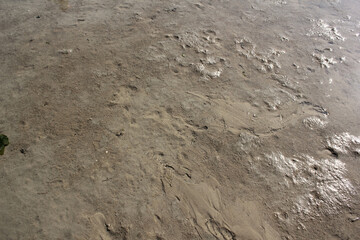 Fototapeta na wymiar Texture water streak on sand the beach - South Sea of Korea