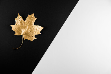 Autumn season abstract background. Fall golden leave on black and white background. Thanksgiving Day. Seasonal fall sale, Black Friday. Discount minimal concept. Flat lay, copy space