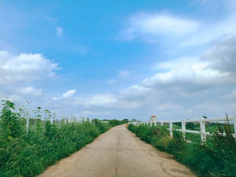 path to the sky © 가영 장