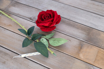 The broken red rose and mercury thermometer