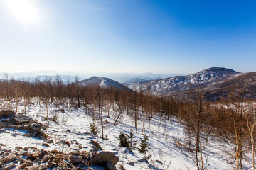 Russian winter in the mountains. View of the snow-capped mountains covered with bare trees and fir trees