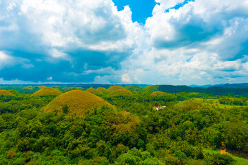 フィリピン　チョコレートヒルズ　chocolate 観光 trip 旅行 セブ ボホール