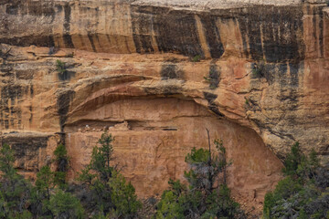 Fototapeta na wymiar Cliff dwellings at Mesa Verde National Park 