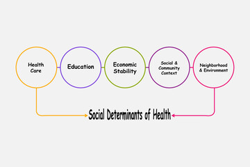 Diagram of Social Determinants of Health with keywords. EPS 10 - obrazy, fototapety, plakaty