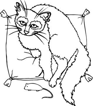 Cute vector cat resting on a pillow and playing with a mouse.
