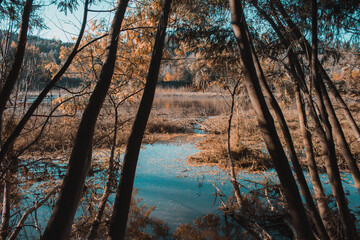morning on the river