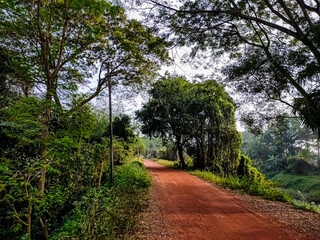 Fototapeta na wymiar A red dirt road and a narrow river flow by, rural nature seances in the morning in India.