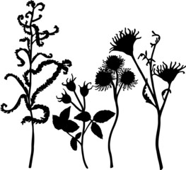 Black vector grass of different types on a white background. Seamless pattern from separate elements.