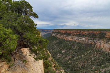 Canyon at Mesa Verde National Park