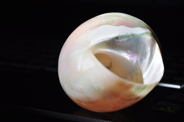 七色の貝の螺旋