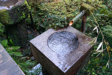 植物 寺 神社 風景