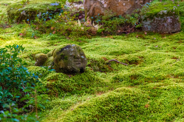 仏様 仏像 植物 苔 背景 コケリウム