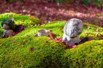 紅葉 秋 寺 仏像 仏様 お参り ハイキング ピクニック