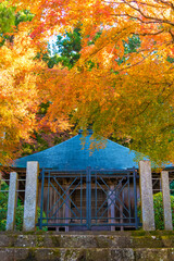 紅葉 秋 寺 お参り ハイキング ピクニック