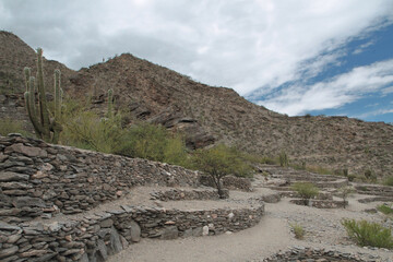 Culture and heritage. View of the city ruins of the Quilmes aboriginal civilization. Structures made of stone in the mountains, surrounded by exotic flora such as giant cactus, Echinopsis atacamensis.