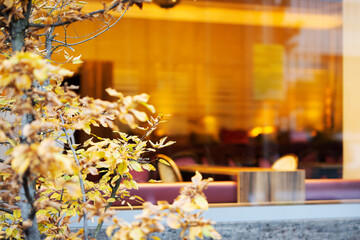 Baum im Corona Herbst vor einem leeren Café