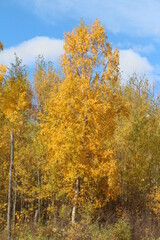 Alive With Colour, Elk Island National Park, Alberta