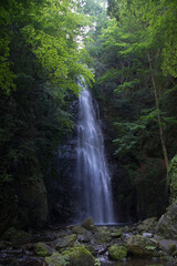 Naklejka premium 百尋の滝