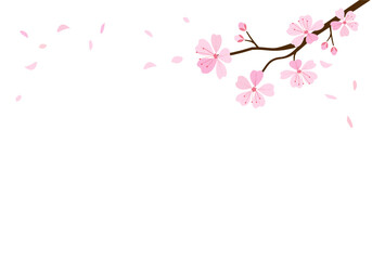 Obraz na płótnie Canvas Pink cherry blossom branch on pink blur background vector. Sakura Japanese flower.