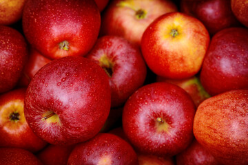 Red gala apples. Healthy diet food concept.