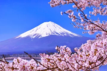Fotobehang 河口湖北岸から見る満開の桜と富士山  © 7maru