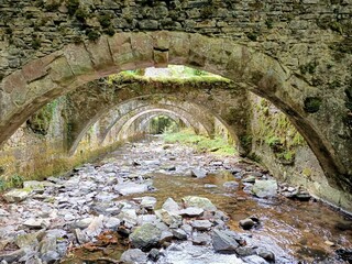 bridge over the river