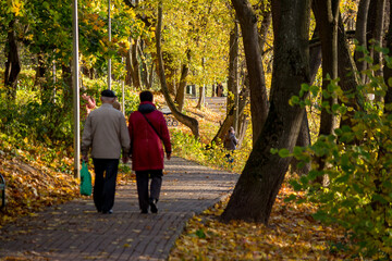 Fototapeta premium Walking cobbled path in the autumn park Belkino. Golden autumn in the city park. Obninsk, Russia 
