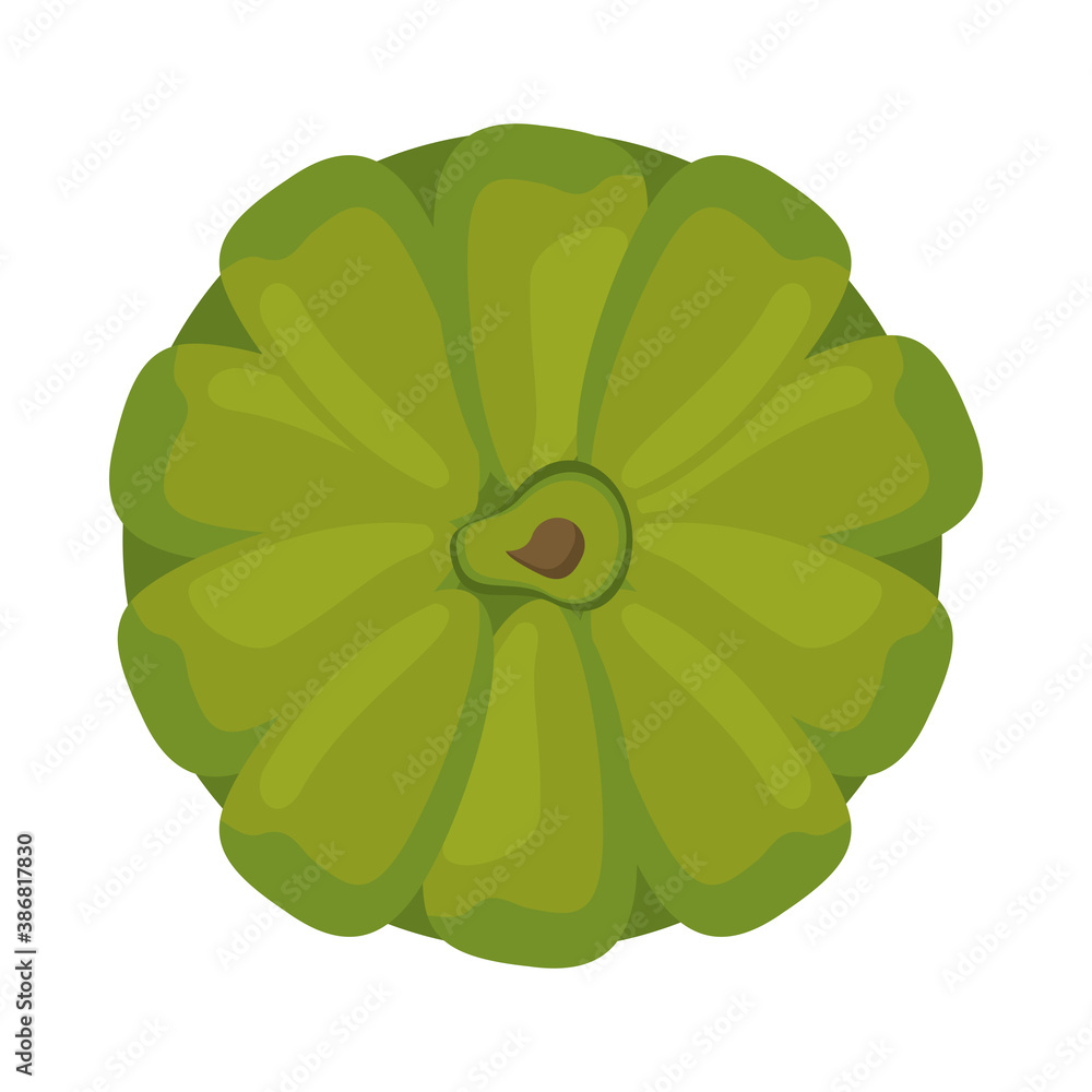 Poster artichoke fresh vegetable nature icon