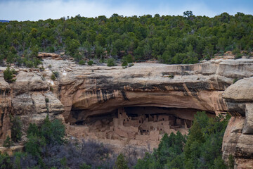 Cliff dwellings at Mesa Verde National Park
