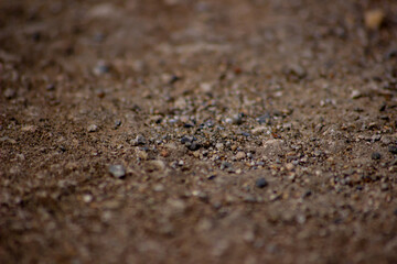 texture of sand