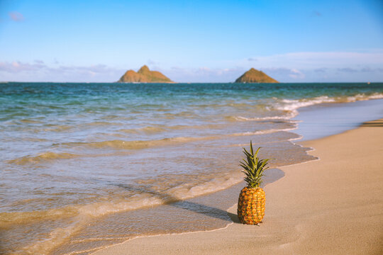 Pineapple on the beach, Lanikai Beach or Kaʻōhao Beach is located in Kaʻōhao, a community in the town of Kailua and on the windward coast of Oahu, Hawaii.