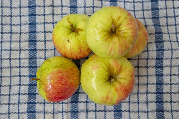A small pile of five fresh solid mottled red-green washed apples, with water droplets on the shiny skin, lying picturesquely on a white waffle towel with blue stripes , top view.