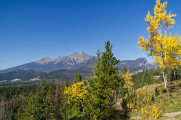 Maligne Overlook on a Clear Autumn Day