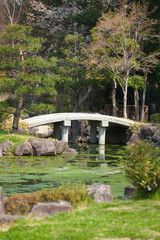 庭園の池と反橋