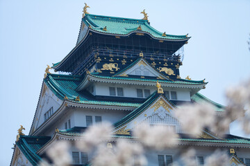 Fototapeta premium 大阪城と桜