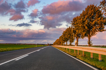 picturesque road with a row of trees in an autumn robe in the rays of the setting sun