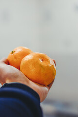 cropped view of man holding orange tangerines in hand isolated on white